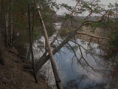 Река Пижма в Нижегородской области. Фото: turizmvnn.ru