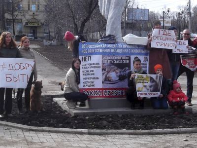 Митинг в защиту животных. Фото: Владимир Лапкин, Каспаров.Ru