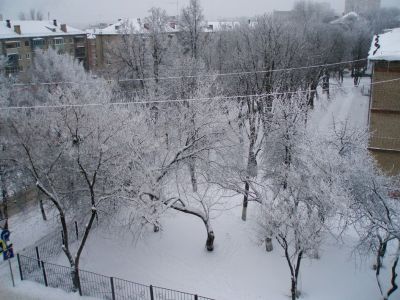 Зимний день в Туле. Фото: Александр Хоц